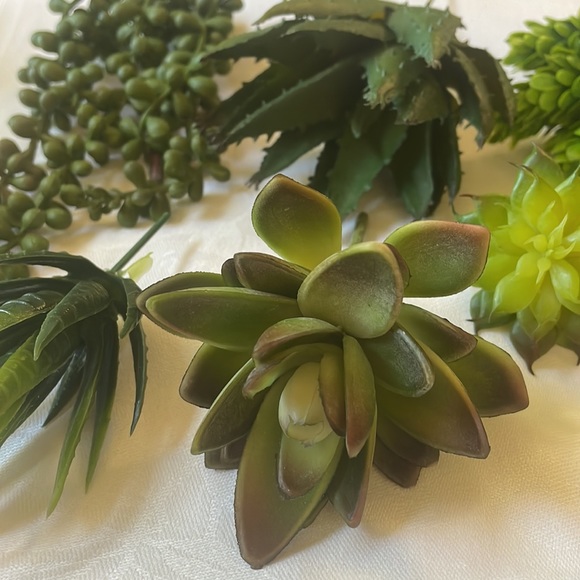 7Pcs Assorted Artificial Succulents Plants Unpotted Small Green Cactus Fake Faux - Picture 3 of 9